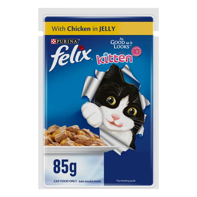 Kitten Chicken In Jelly