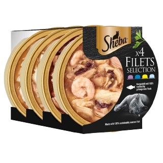 Filets Selection