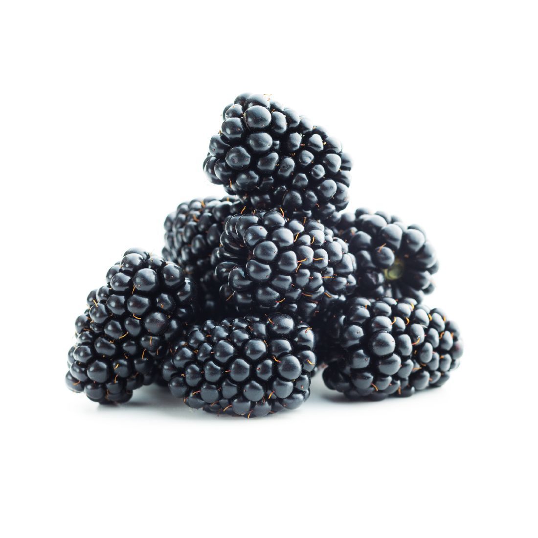 Blackberries Pack 125g