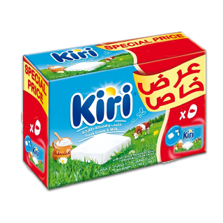 Spreadable Cream Cheese Squares-5X100G