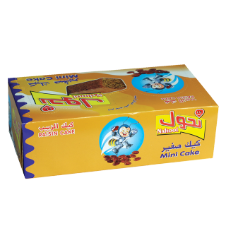 Raisin Cake-12×28 G