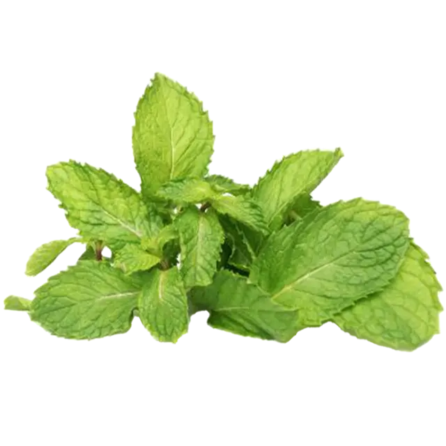 Organic Mint Leaves 150 G