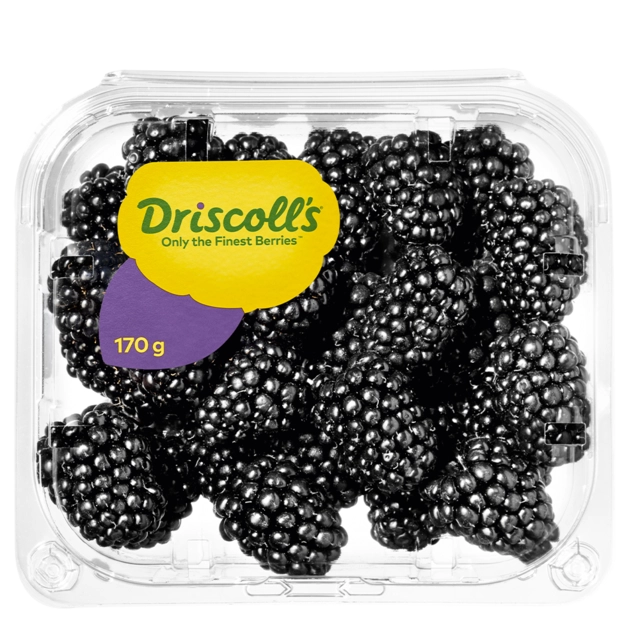 Driscoll'S Blackberries