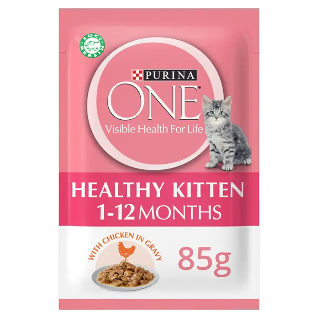 Healthy Kittencat Food With Chicken In Gravy