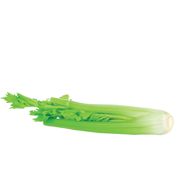 Celery Stick 2.0 KG