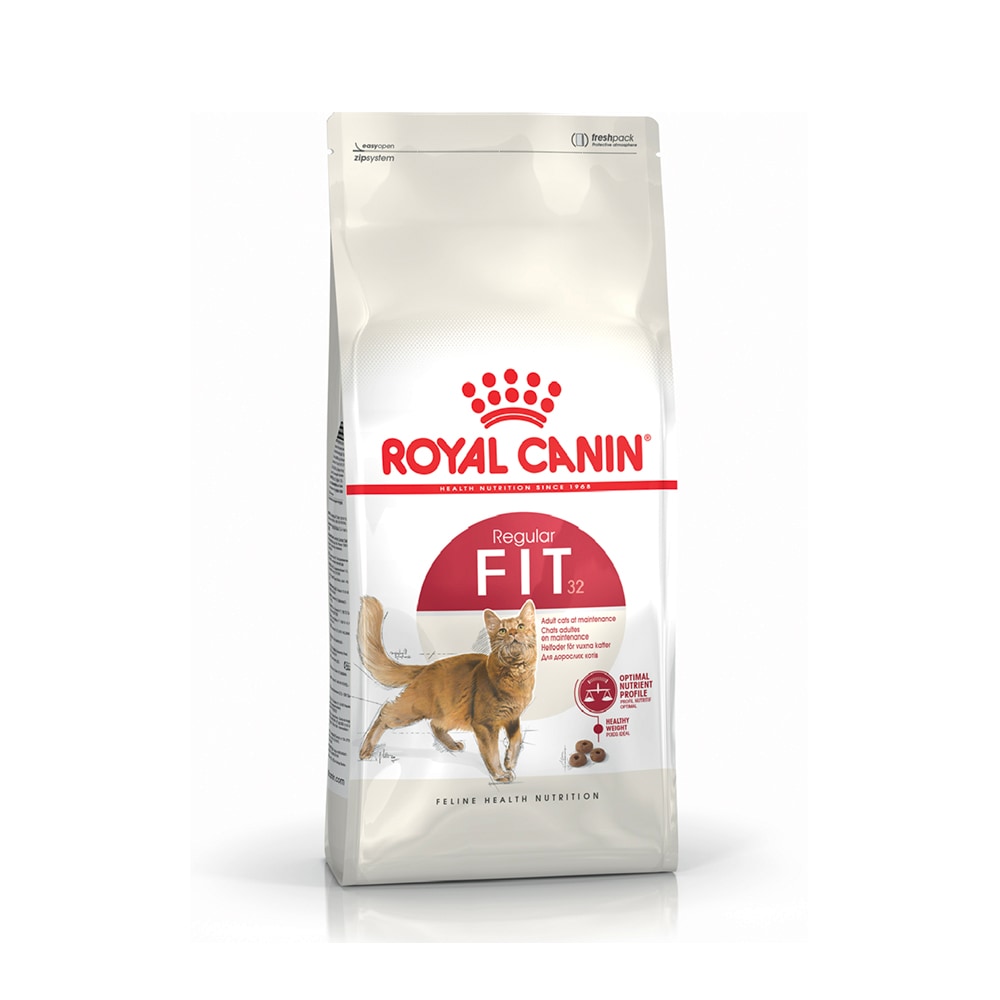 Royal Canin Fit 32 Dry Cat Food - 400 g