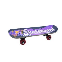 Family Center Skateboard Plastic Wheel 60*15cm